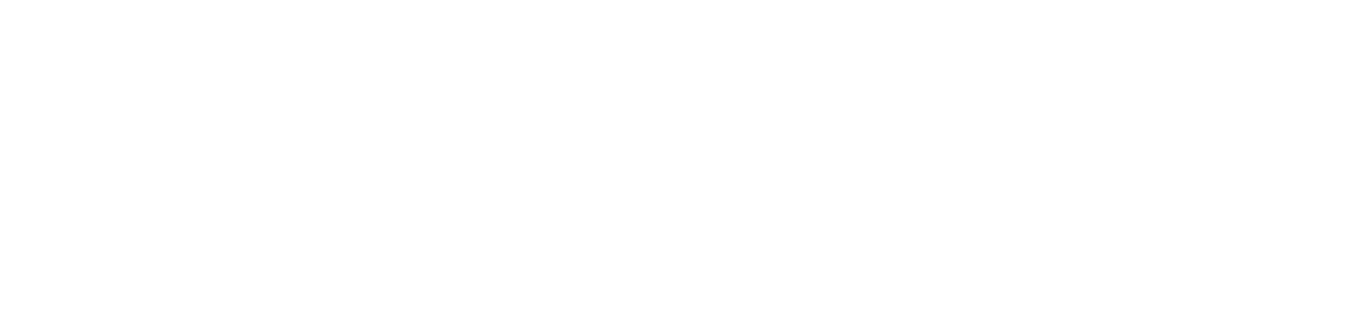 TEMO DESIGN